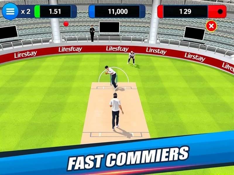 Fast Bowler Gameplay Screenshot